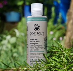 Odylique organiczny delikatny szampon ziołowy z prebiotykami do wrażliwej skóry głowy bezzapachowy